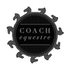 Programa de Coach Online